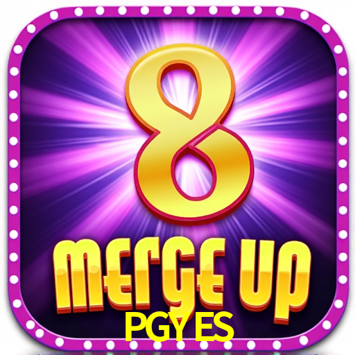 PGYES.Com