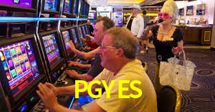 PGYES.ComÉ CONFIÁVEL